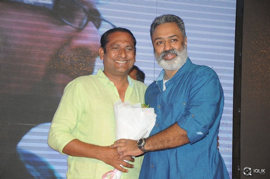 Hora-Hori-Movie-Audio-Launch